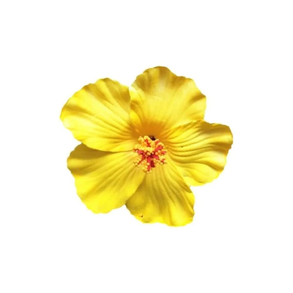 Headwear Hawaiian Flower Hair Clips Side Bangs Clip Romantic BB Hair Clips Hair Accessories Suitable Vacation Beach Parties