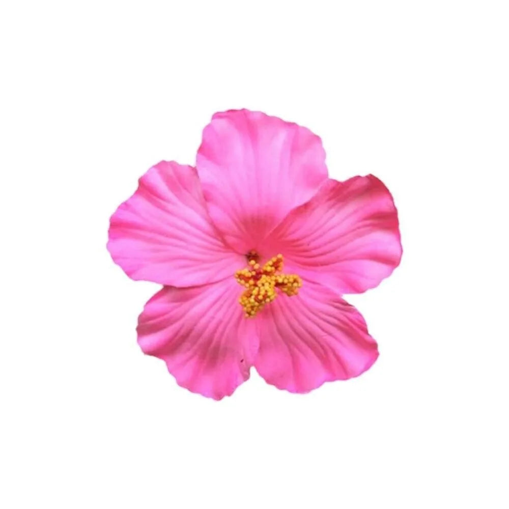 Headwear Hawaiian Flower Hair Clips Side Bangs Clip Romantic BB Hair Clips Hair Accessories Suitable Vacation Beach Parties
