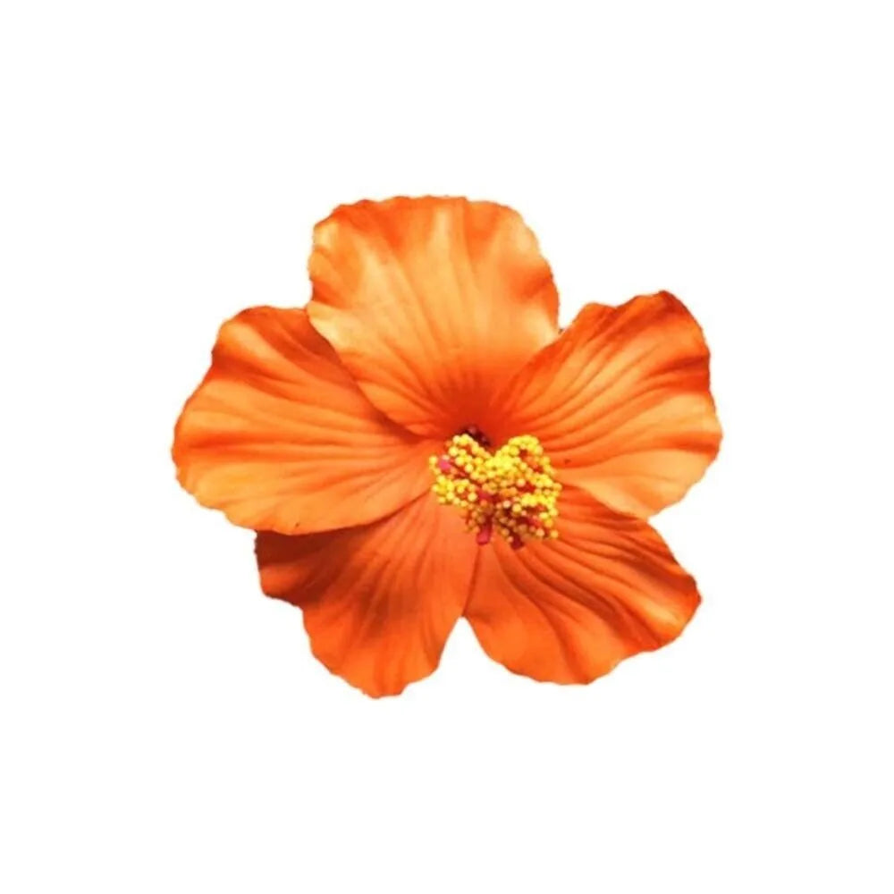Headwear Hawaiian Flower Hair Clips Side Bangs Clip Romantic BB Hair Clips Hair Accessories Suitable Vacation Beach Parties