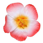 Headwear Hawaiian Flower Hair Clips Side Bangs Clip Romantic BB Hair Clips Hair Accessories Suitable Vacation Beach Parties