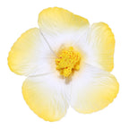 Headwear Hawaiian Flower Hair Clips Side Bangs Clip Romantic BB Hair Clips Hair Accessories Suitable Vacation Beach Parties