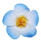 Headwear Hawaiian Flower Hair Clips Side Bangs Clip Romantic BB Hair Clips Hair Accessories Suitable Vacation Beach Parties