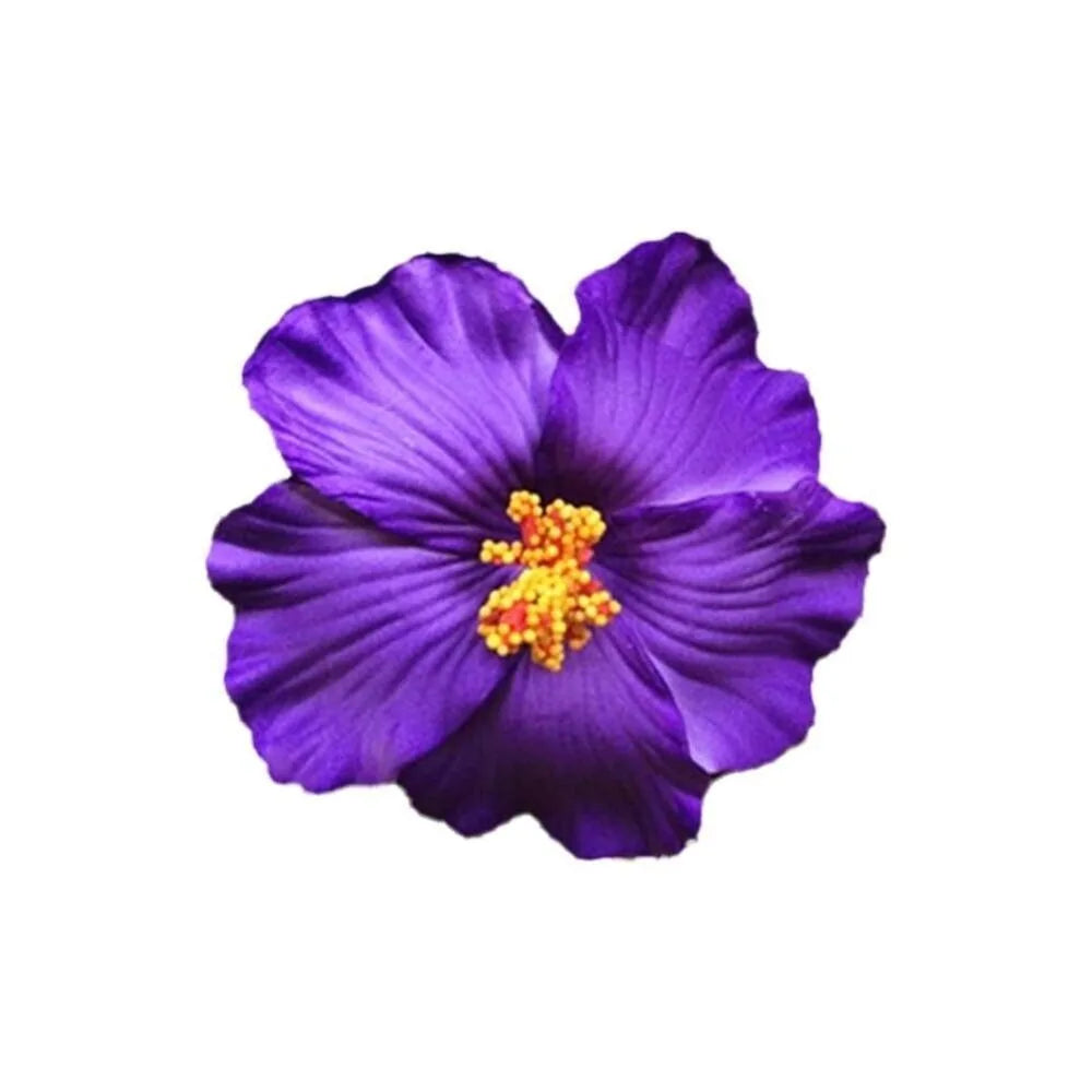 Headwear Hawaiian Flower Hair Clips Side Bangs Clip Romantic BB Hair Clips Hair Accessories Suitable Vacation Beach Parties