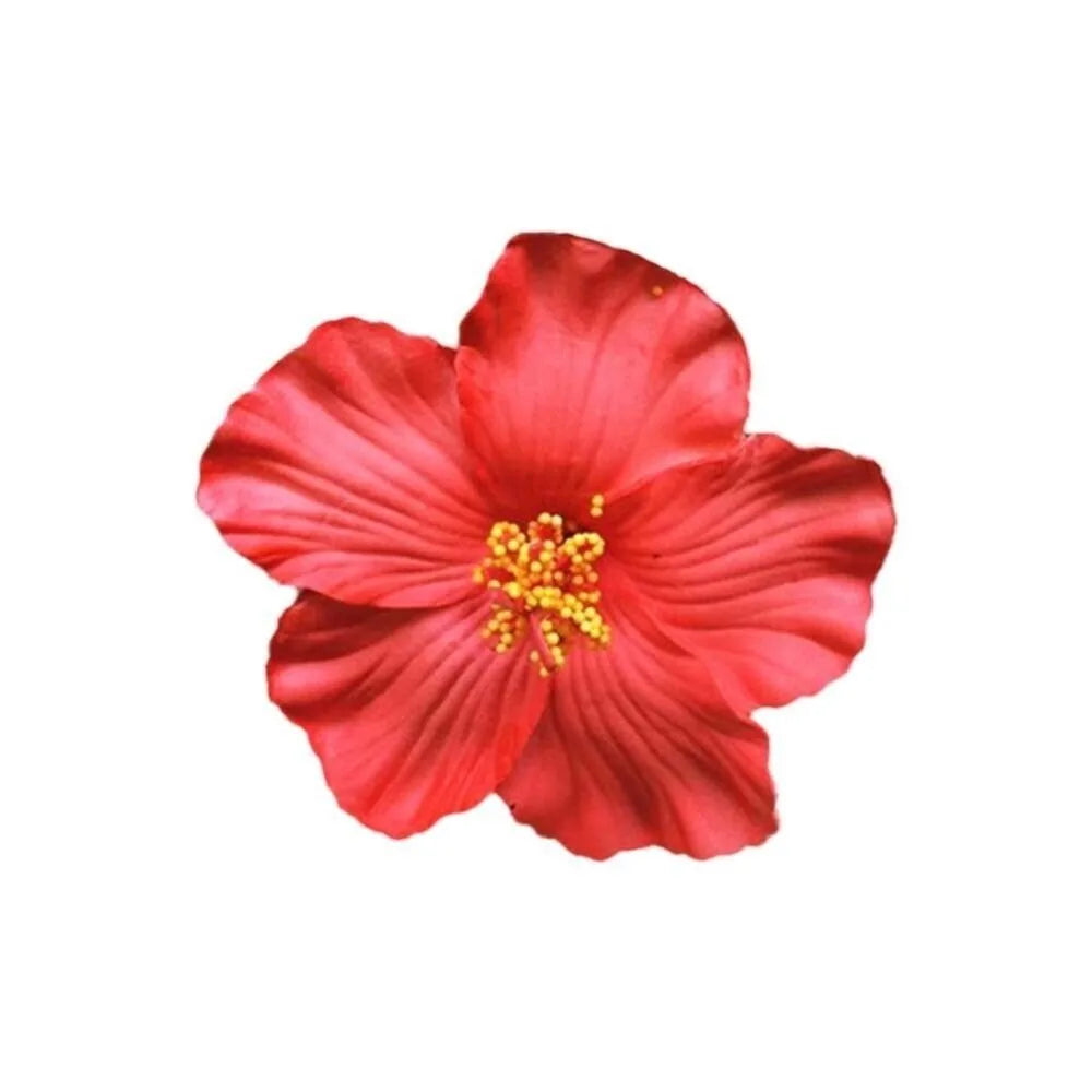 Headwear Hawaiian Flower Hair Clips Side Bangs Clip Romantic BB Hair Clips Hair Accessories Suitable Vacation Beach Parties