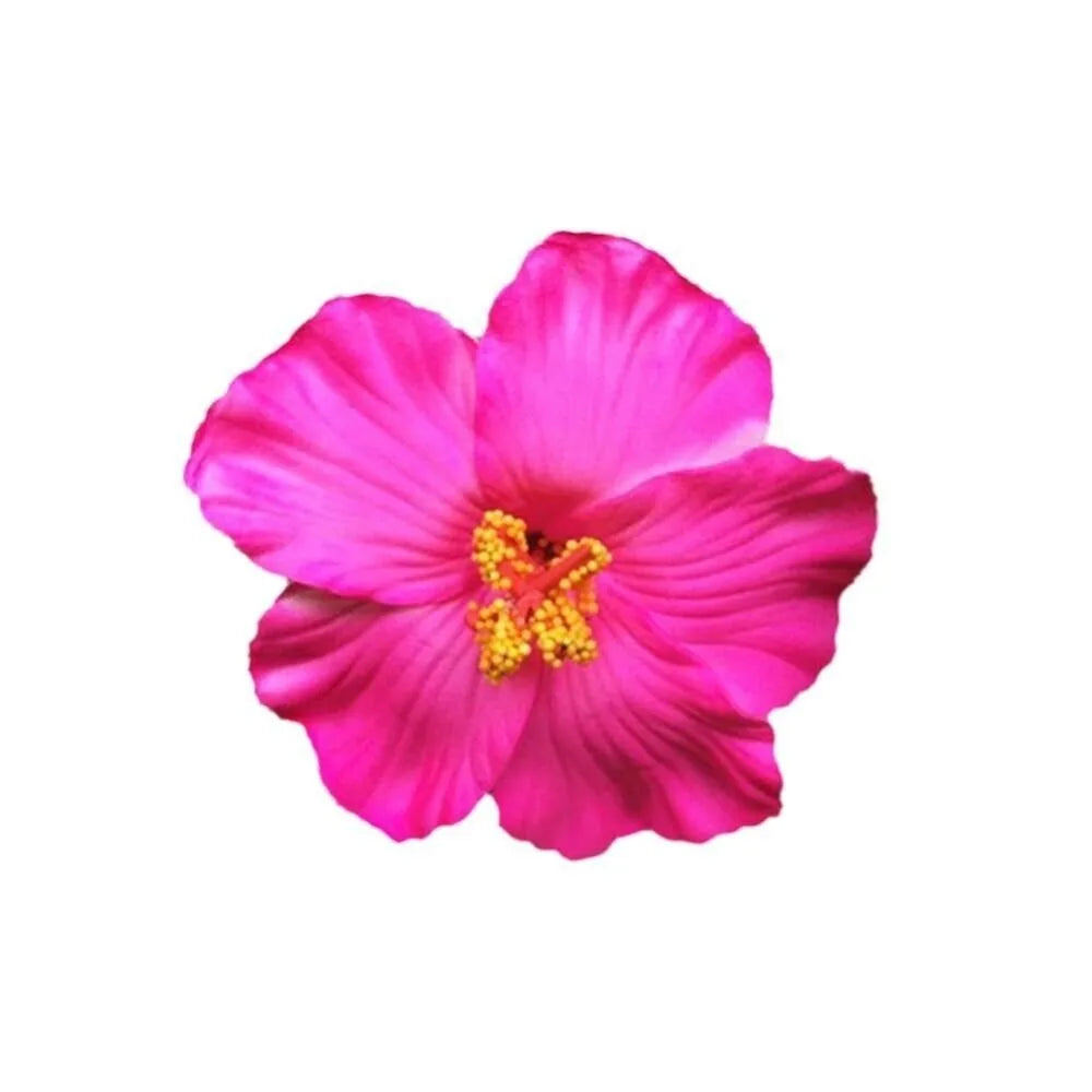 Headwear Hawaiian Flower Hair Clips Side Bangs Clip Romantic BB Hair Clips Hair Accessories Suitable Vacation Beach Parties